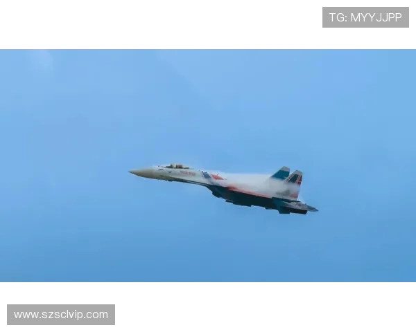 麦金尼精准捕捉战机！接腿抱摔 55 秒终结对手(1)